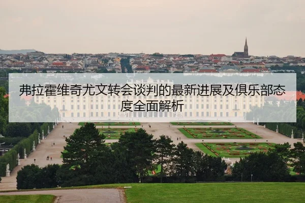 弗拉霍维奇尤文转会谈判的最新进展及俱乐部态度全面解析